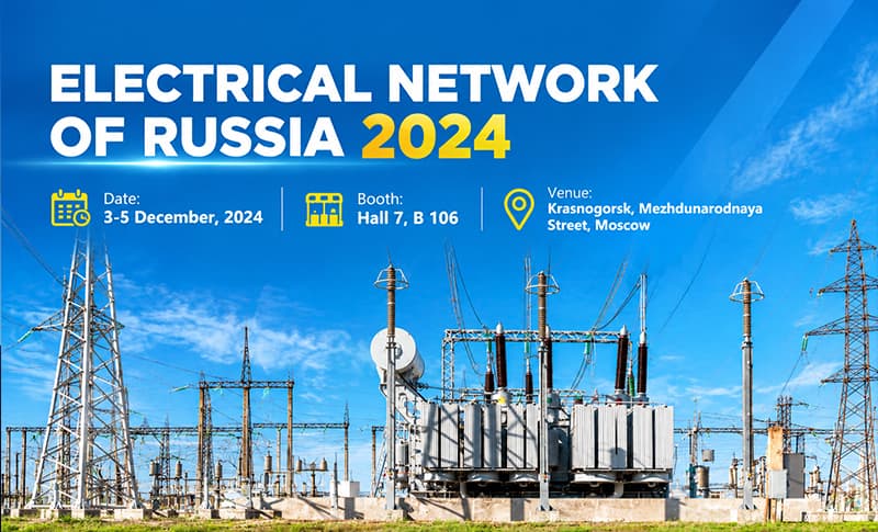 Electrical Networks of Russia 2024 | LP Industry